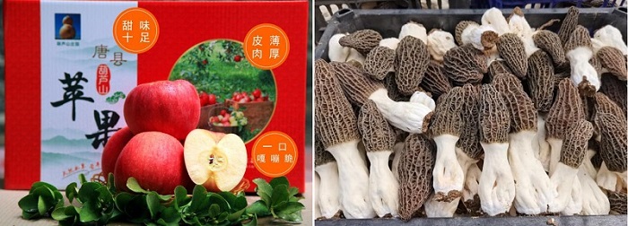 恒峰g22 - 官方网站 -- 每天有惊喜